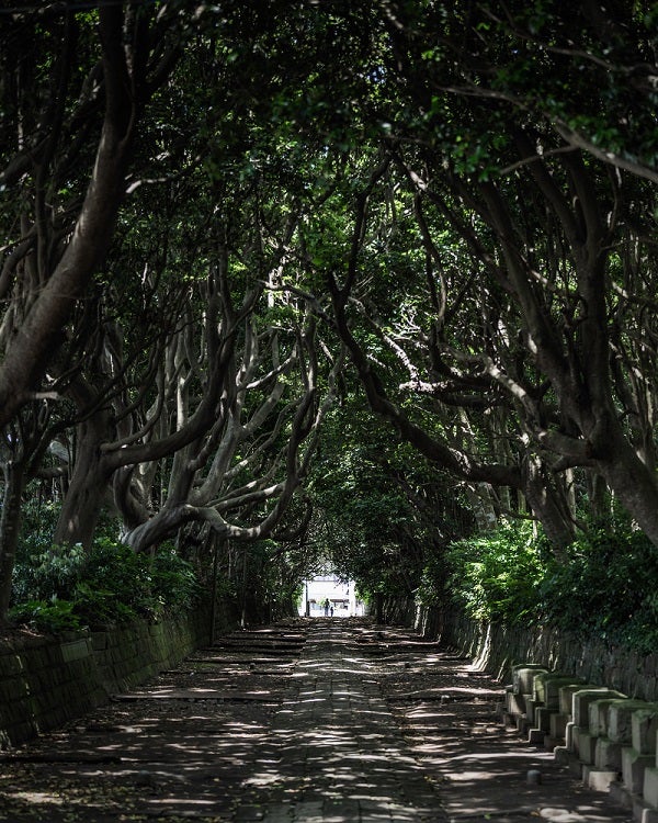 【京成船橋発】開運!磯前神社ペア参拝&アウトレット満喫<コースNo.25-1118-A>(京成トラベル)1